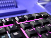 Razer Ornata V2 gaming keyboard closeup (Source: Razer)