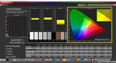 CalMAN ColorChecker (profile: sRGB, target color space: sRGB)