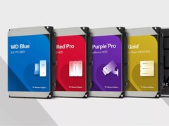 Western Digital HDD storage options. (Image source: Western Digital)