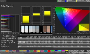 Color Accuracy (Target Color Space: sRGB, Profile: Standard)