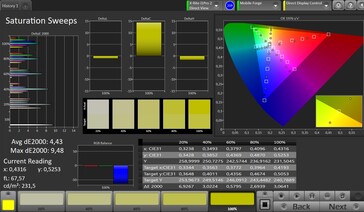 CalMAN: Colour Saturation