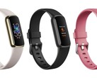 The Fitbit Luxe combines high-quality hardware in a slim chassis. (Image source: Roland Quandt and WinFuture)