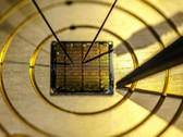 A gold chip containing the  scannable graphene-based ID. (Source: Lancaster University)