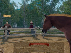 Medieval Horse Dealer Simulator.