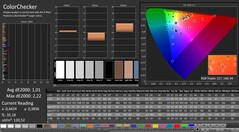 CalMAN: ColorChecker (calibrated)