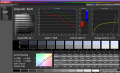 Grayscale before calibration (Sure View on)