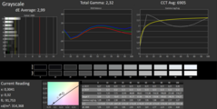 CalMAN: Grayscale - no bluish tint