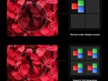 The latest under-display camera (UDC) tech is should arrive in the second half of 2021. (Image: Xiaomi)