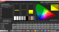 CalMAN ColorChecker (calibrated)