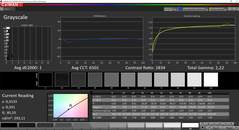 CalMAN grayscale calibrated