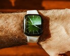 The Apple Watch will not offer a fingerprint sensor for the foreseeable future.