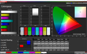 CalMan color space (profile: Auto, color space target: sRGB)