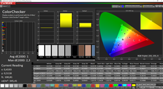 CalMAN ColorChecker calibrated