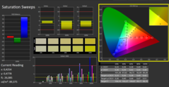 CalMAN - Color saturation (calibrated)