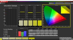 CalMAN saturation (profile: Display P3, target color space: P3)