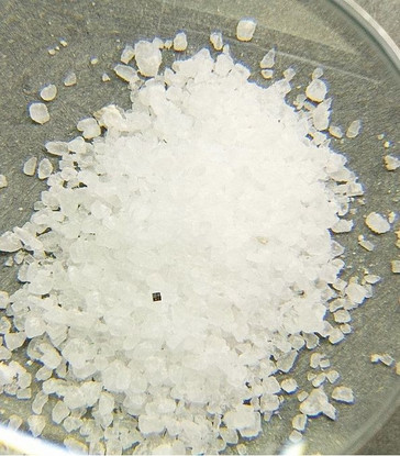 The tiny black square chip on top of salt grains for size comparison (Source: Mashable)
