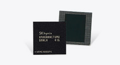 SK Hynix is the second largest DRAM chip manufacturer, with a quarter of the worldwide market. (Source: SK Hynix)