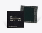 SK Hynix is the second largest DRAM chip manufacturer, with a quarter of the worldwide market. (Source: SK Hynix)