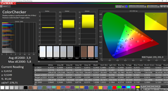 CalMAN ColorChecker (sRGB colour space)