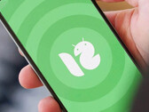 Xiaomi is expected to bring Android 12 to numerous devices, but not the Redmi K20 or Mi 9 series. (Image source: Xiaomiadictos)