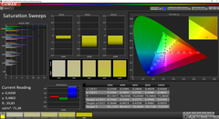 CalMAN saturation calibrated