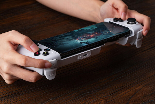 (Image source: 8BitDo)