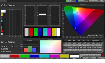 CalMAN color space sRGB