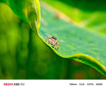 Redmi K80 Pro camera sample (Image source: Redmi)