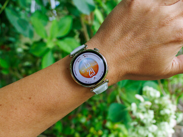 41mm Outdoor Model