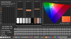 CalMAN: ColorChecker (calibrated)