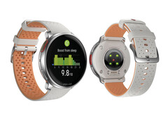 Polar briefly listed the Vantage V3 in two colour options. (Image source: Polar)