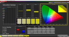 CalMAN Saturation calibrated (DCI P3 target color space)