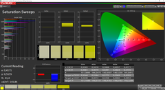 CalMAN Saturation calibrated