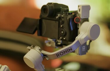 Accidental Lumix S1RII reveal. (Image source: Reddit)