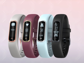 The Garmin Vivosmart 4. (Source: Garmin)