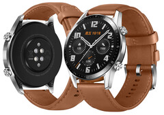 Huawei continues to update the Watch GT 2, over two years after its release. (Image source: Huawei)
