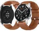 Huawei continues to update the Watch GT 2, over two years after its release. (Image source: Huawei)