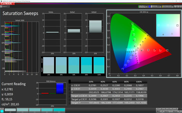 CalMAN: Colour Saturation - DCI P3 target colour space, rear display