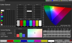 CalMAN color space sRGB