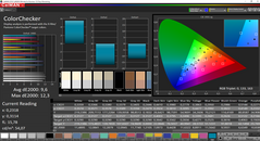 CalMAN ColorChecker (uncalibrated, TrueColor Natural)