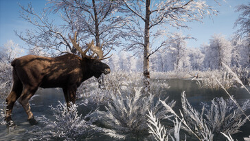 An image showing a moose in Medieval Dynasty.