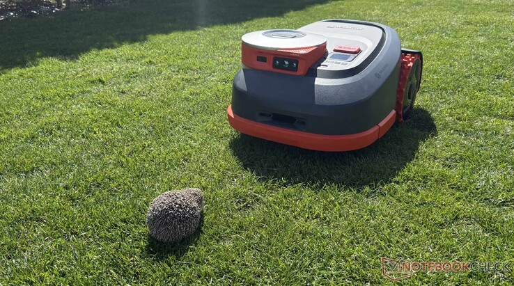 The Navimow H2 reliably detected our fake hedgehog during testing.