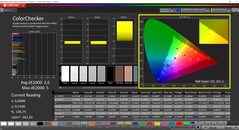 CalMAN ColorChecker (profile Enhanced)