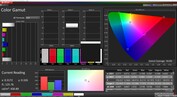 Color Gamut - DCI P3 94.8%