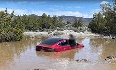 Tesla&#039;s FSD drove this particular Model 3 into a watery grave. (Image source: Wham Baam Teslacam on YouTube)