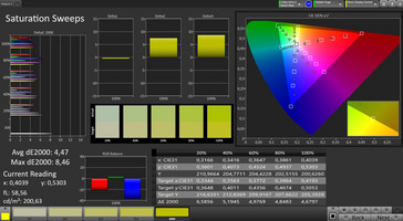 CalMAN: Color Saturation – sRGB target color space