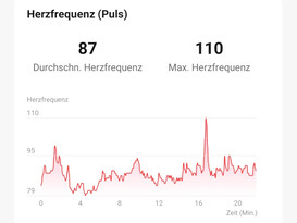 Heart rate measurement of the Honor Watch GS 3