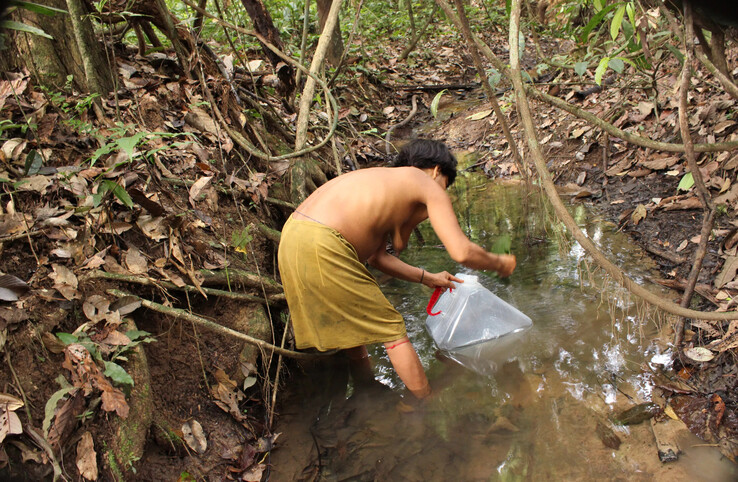 Woman fetching water from a river (image: Yanomami Foundation)