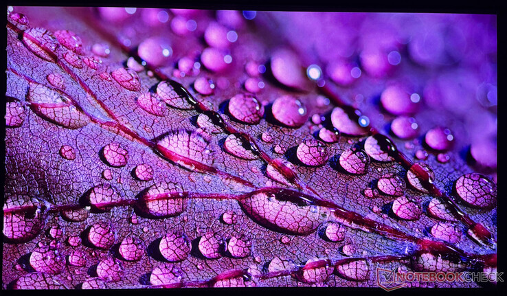 The iPhone 16 Pro used can only capture the image quality of the Aetherion Max to a limited extent.