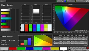 CalMAN color space